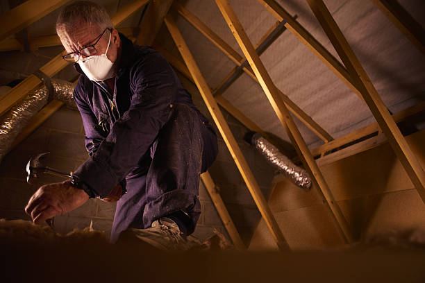 Types of Insulation We Offer in Indian River Shores, FL