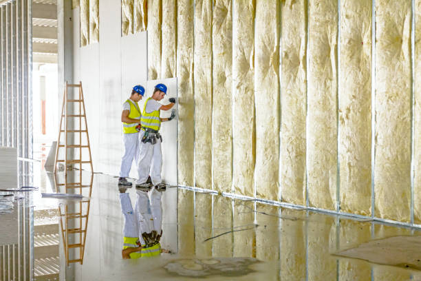 Best Specialized Insulation Services in Indian River Shores, FL